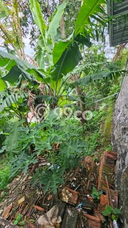 Dijual Hunian Mewah dengan Fasilitas Sekitar Komplit di Gajah Mungkur, Semarang Dijual Hunian Mewah dengan Fasilitas Sekitar Komplit di Gajah Mungkur, Semarang