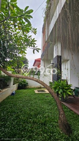 Best Deal Hunian Mewah Ideal dan Luas di Banyumanik, Semarang Best Deal Hunian Mewah Ideal dan Luas di Banyumanik, Semarang
