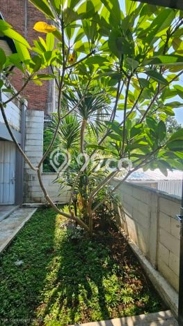 Rumah Luas Asri 2 KT Siap Huni di Ketileng Semarang Rumah Luas Asri 2 KT Siap Huni di Ketileng Semarang