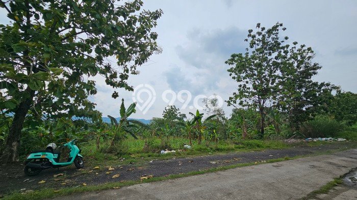 Tanah Dijual Lokasi Tembalang, Semarang Luas 4011m2 Legalitas Aman Tanah Dijual Lokasi Tembalang, Semarang Luas 4011m2 Legalitas Aman