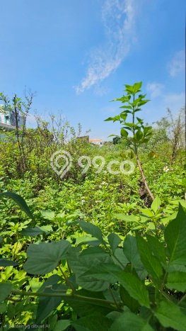 Dijual Tanah di Semarang, Luas 1705m2 SHM Dijual Tanah di Semarang, Luas 1705m2 SHM