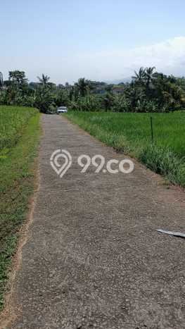 Jarang Ada! Tanah di Selemadeg Punya Luas 2500m2 SHM Jarang Ada! Tanah di Selemadeg Punya Luas 2500m2 SHM