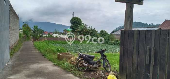 Tanah Kavling Dijual di Bedugul, Tabanan dengan Luas Tanah 130m2 Tanah Kavling Dijual di Bedugul, Tabanan dengan Luas Tanah 130m2