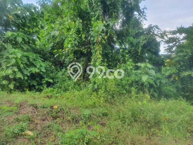 Tanah Kavling untuk Dijual di Gunaksa Semarapura 500m2 Tanah Kavling untuk Dijual di Gunaksa Semarapura 500m2