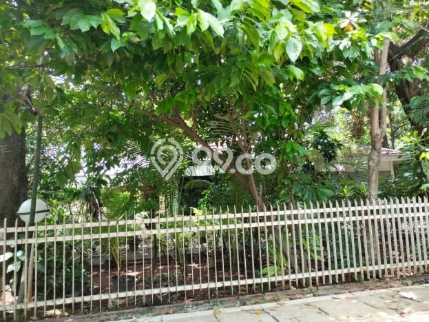 Jarang Ada! Tanah di Cempaka Putih Punya Luas 1300m2 SHM Jarang Ada! Tanah di Cempaka Putih Punya Luas 1300m2 SHM