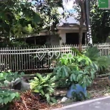 Jarang Ada! Tanah di Cempaka Putih Punya Luas 1300m2 SHM Jarang Ada! Tanah di Cempaka Putih Punya Luas 1300m2 SHM