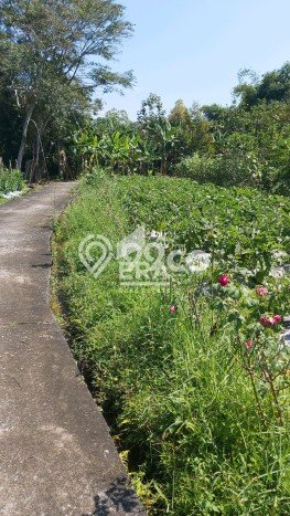 Tanah untuk Dijual Lokasi Bandungan, Semarang Luas 2887m2 SHM Tanah untuk Dijual Lokasi Bandungan, Semarang Luas 2887m2 SHM