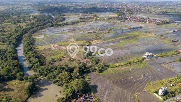 Lahan Dijual Lokasi Strategis di Badung dengan Luas 13500m2 Lahan Dijual Lokasi Strategis di Badung dengan Luas 13500m2
