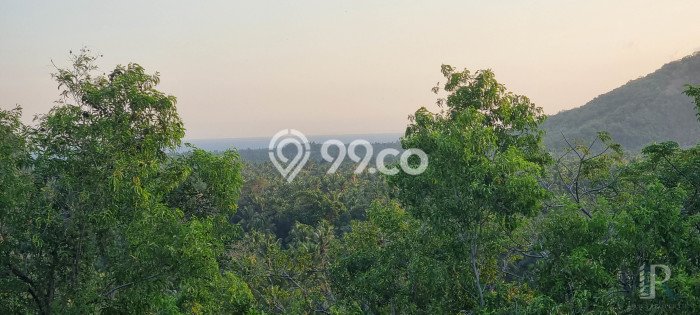 Lahan Dijual Lokasi Manggis, Karangasem dengan Luas Tanah 10000m2 dan Status SHM Lahan Dijual Lokasi Manggis, Karangasem dengan Luas Tanah 10000m2 dan Status SHM