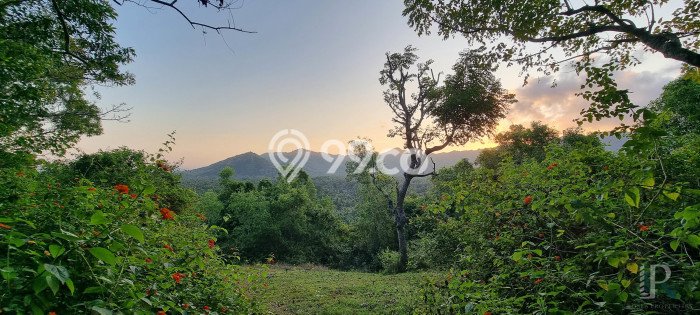 Lahan Dijual Lokasi Manggis, Karangasem dengan Luas Tanah 10000m2 dan Status SHM Lahan Dijual Lokasi Manggis, Karangasem dengan Luas Tanah 10000m2 dan Status SHM