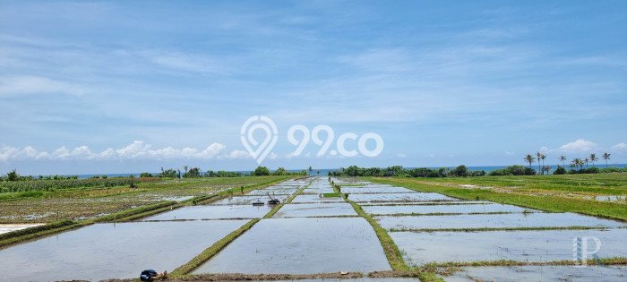 Jarang Ada! Tanah Kavling Disewakan di Tabanan 5700m2 Jarang Ada! Tanah Kavling Disewakan di Tabanan 5700m2