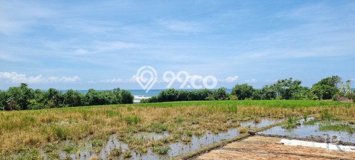 Jarang Ada! Tanah Kavling Disewakan di Tabanan 5700m2 Jarang Ada! Tanah Kavling Disewakan di Tabanan 5700m2