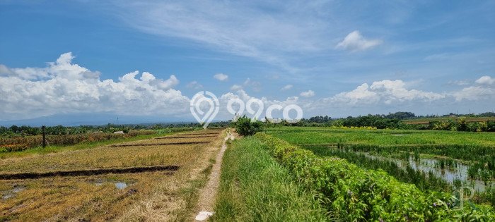Jarang Ada! Tanah Kavling Disewakan di Tabanan 5700m2 Jarang Ada! Tanah Kavling Disewakan di Tabanan 5700m2