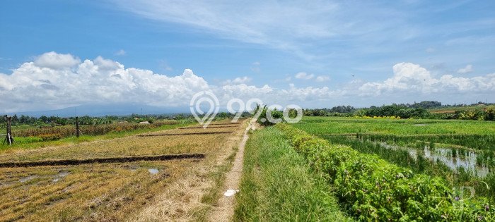 Jarang Ada! Tanah Kavling Disewakan di Tabanan 5700m2 Jarang Ada! Tanah Kavling Disewakan di Tabanan 5700m2