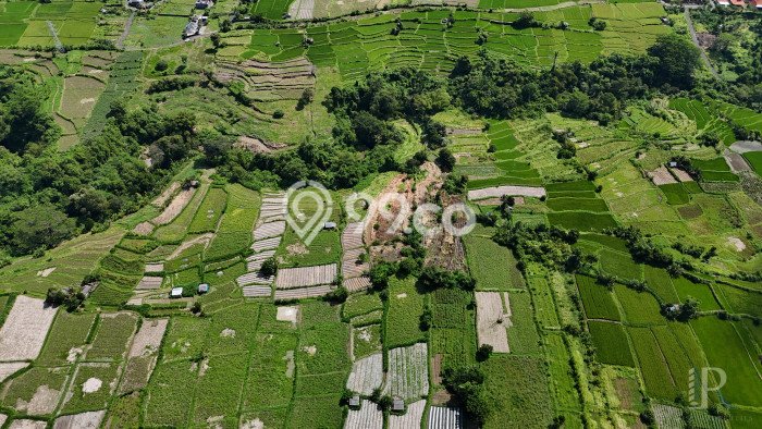 Untuk Dijual Tanah di Gianyar Gianyar Luas 18000m2 SHM Untuk Dijual Tanah di Gianyar Gianyar Luas 18000m2 SHM