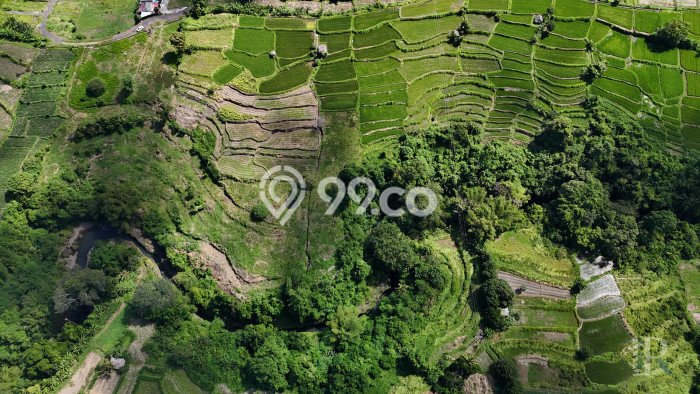 Untuk Dijual Tanah di Gianyar Gianyar Luas 18000m2 SHM Untuk Dijual Tanah di Gianyar Gianyar Luas 18000m2 SHM