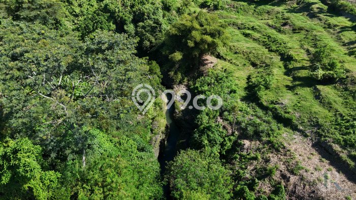 Untuk Dijual Tanah di Gianyar Gianyar Luas 18000m2 SHM Untuk Dijual Tanah di Gianyar Gianyar Luas 18000m2 SHM