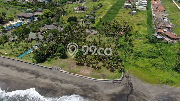 Kavling Tanah untuk Dijual di Cemagi, Badung, Luas 8400m2 Kavling Tanah untuk Dijual di Cemagi, Badung, Luas 8400m2