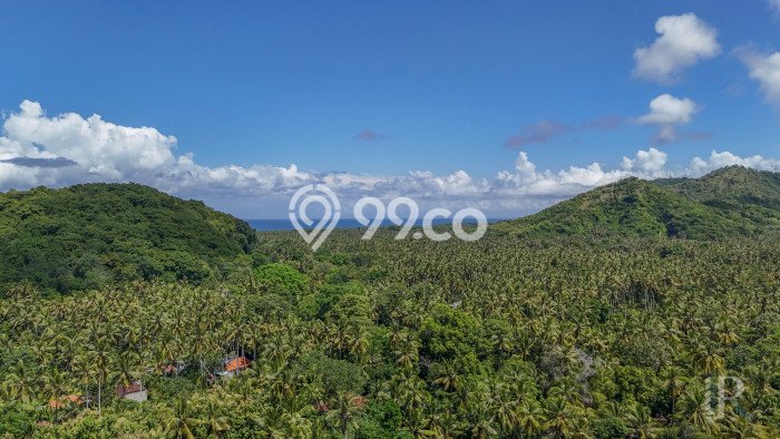Lahan Dijual Lokasi Manggis, Karangasem dengan Luas Tanah 10000m2 dan Status SHM Lahan Dijual Lokasi Manggis, Karangasem dengan Luas Tanah 10000m2 dan Status SHM
