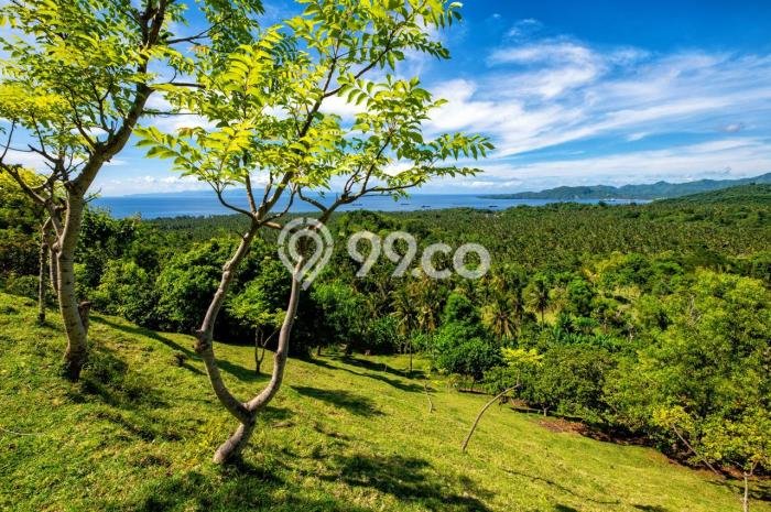 Disewakan Tanah di Candi Dasa Luas 1367m2 Hak Sewa Disewakan Tanah di Candi Dasa Luas 1367m2 Hak Sewa