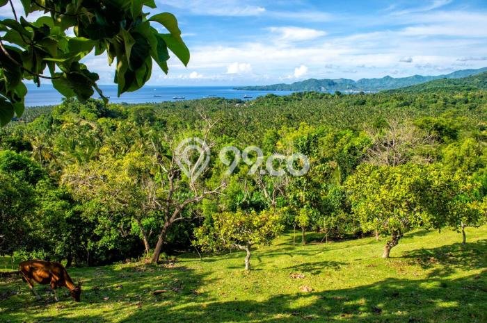 Disewakan Tanah di Candi Dasa Luas 1367m2 Hak Sewa Disewakan Tanah di Candi Dasa Luas 1367m2 Hak Sewa