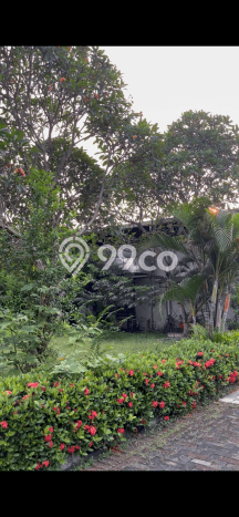 Pabrik Bagus Dijual di Tangerang Kota Tangerang Lokasi Strategis Cocok untuk Kembangkan Bisnis Pabrik Bagus Dijual di Tangerang Kota Tangerang Lokasi Strategis Cocok untuk Kembangkan Bisnis