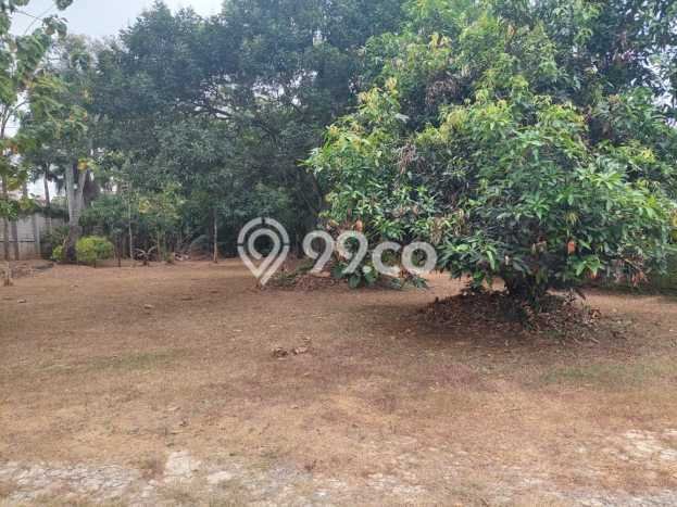 Tanah di Cilandak, Jakarta Selatan Luas 8203m2 Dijual Segera Tanah di Cilandak, Jakarta Selatan Luas 8203m2 Dijual Segera
