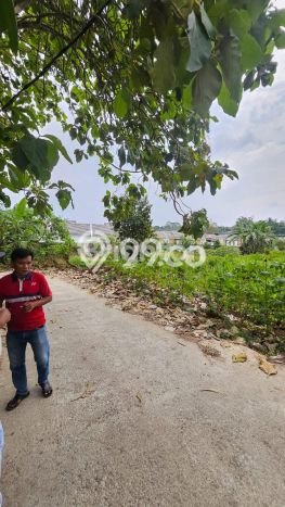 Tanah untuk Dijual Lokasi Cileungsi, Bogor Luas 2450m2 SHM Tanah untuk Dijual Lokasi Cileungsi, Bogor Luas 2450m2 SHM