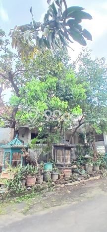 Rumah Minimalis 2 Kamar LT 135m2 di Limusnunggal Rumah Minimalis 2 Kamar LT 135m2 di Limusnunggal