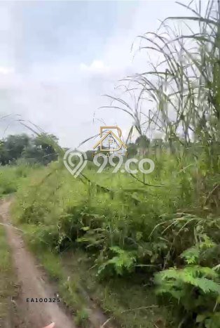 Tanah di Gunung Putri, Bogor Luas 14473m2 Dijual Segera Tanah di Gunung Putri, Bogor Luas 14473m2 Dijual Segera