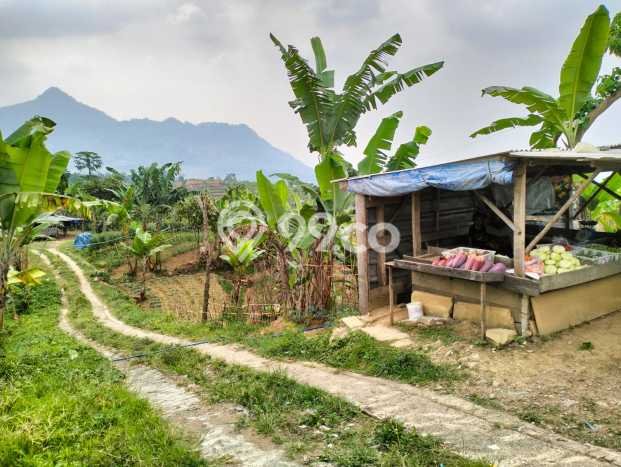 Tanah Komersial Dijual di Sukamakmur Bogor 10300m2 Tanah Komersial Dijual di Sukamakmur Bogor 10300m2
