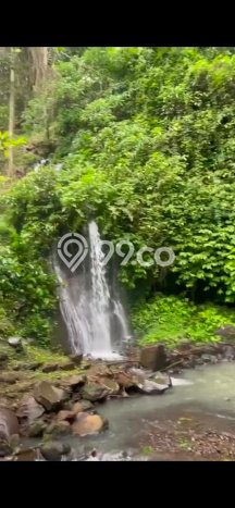 Tanah Kavling Dijual di Pupuansawah, Tabanan dengan Luas Tanah 10600m2 Tanah Kavling Dijual di Pupuansawah, Tabanan dengan Luas Tanah 10600m2