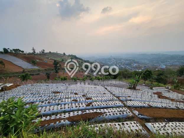 Dijual Tanah di Bandung, Luas 6242m2 SHM Dijual Tanah di Bandung, Luas 6242m2 SHM
