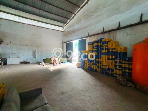 Gudang Bagus LT 4295m2 LB 3300m2 Dijual di Rancaekek Bandung Gudang Bagus LT 4295m2 LB 3300m2 Dijual di Rancaekek Bandung