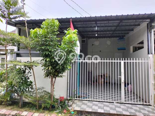 Jual Rumah Murah Meriah Sedati Punya 2 Kamar & LT 90m2 Jual Rumah Murah Meriah Sedati Punya 2 Kamar & LT 90m2