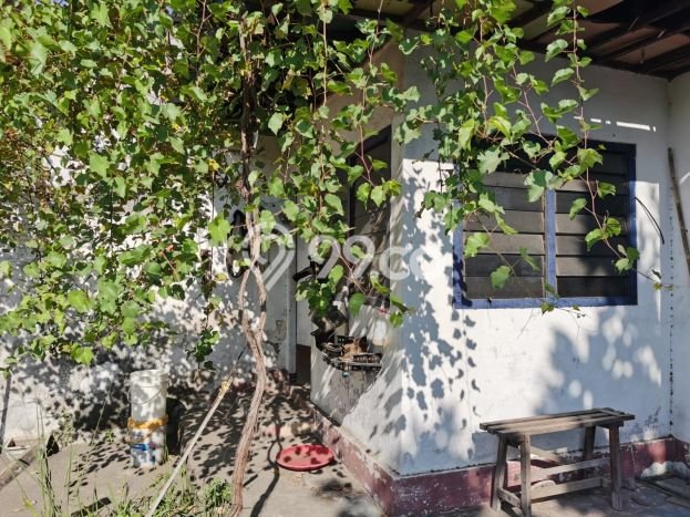 Gudang Dijual Lokasi Emas di Bubutan Luas 2400m2 Gudang Dijual Lokasi Emas di Bubutan Luas 2400m2