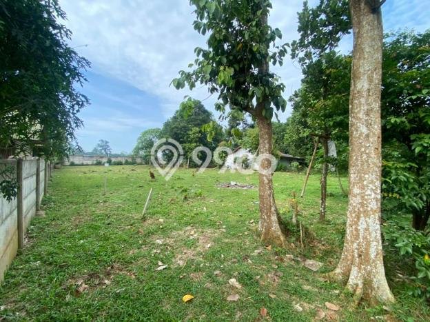 Untuk Dijual Tanah di Cisauk Tangerang Luas 2000m2 AJB Untuk Dijual Tanah di Cisauk Tangerang Luas 2000m2 AJB