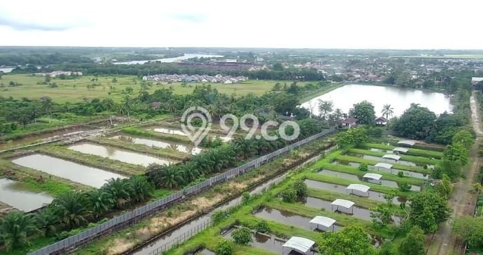 Tanah Dijual Lokasi Pontianak Kota Pontianak SHM Tanah Dijual Lokasi Pontianak Kota Pontianak SHM
