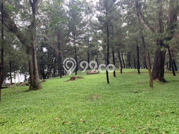 Tanah Kavling Dijual di Tangerang Selatan dengan Spesifikasi 300m2 Tanah Kavling Dijual di Tangerang Selatan dengan Spesifikasi 300m2