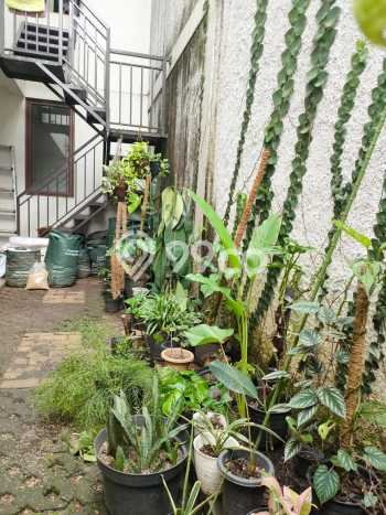 Rumah Luxury Modern Tanpa Renovasi di Bintaro Tangerang Selatan Rumah Luxury Modern Tanpa Renovasi di Bintaro Tangerang Selatan