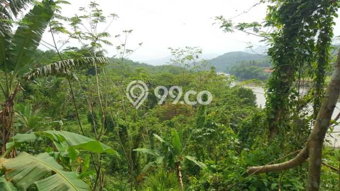 Tanah Kavling untuk Dijual di Ciseeng Bogor 44580m2 Tanah Kavling untuk Dijual di Ciseeng Bogor 44580m2