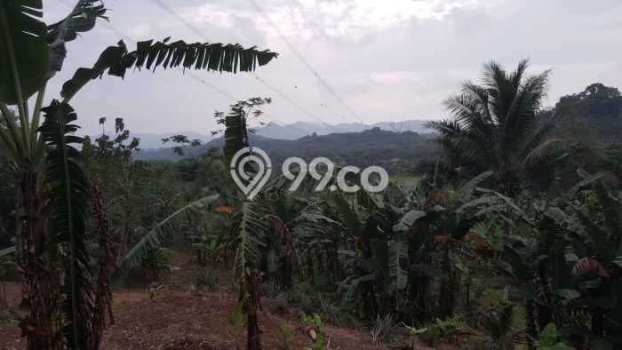 Tanah Kavling untuk Dijual di Ciseeng Bogor 44580m2 Tanah Kavling untuk Dijual di Ciseeng Bogor 44580m2