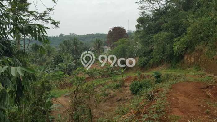 Tanah Kavling untuk Dijual di Ciseeng Bogor 44580m2 Tanah Kavling untuk Dijual di Ciseeng Bogor 44580m2