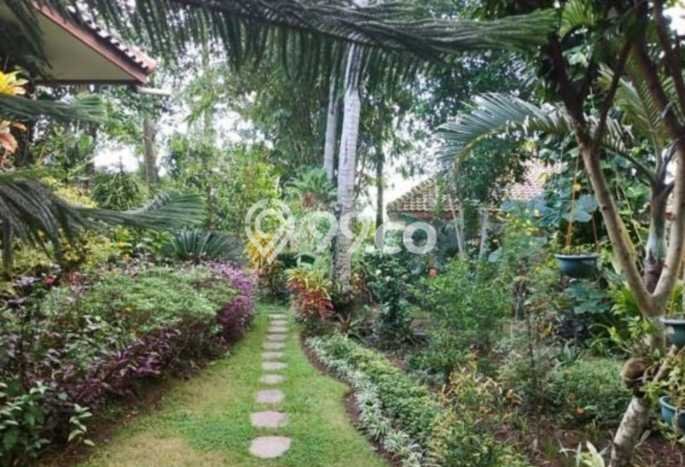 Vila Berkembang Kawasan Wates, Luas 1439m2m², Dekat ke Wates, Kulon Progo, Kulon Progo Vila Berkembang Kawasan Wates, Luas 1439m2m², Dekat ke Wates, Kulon Progo, Kulon Progo