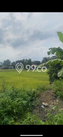 Kavling Tanah Dijual di Legok Tangerang Spesifikasi 935m2 Kavling Tanah Dijual di Legok Tangerang Spesifikasi 935m2