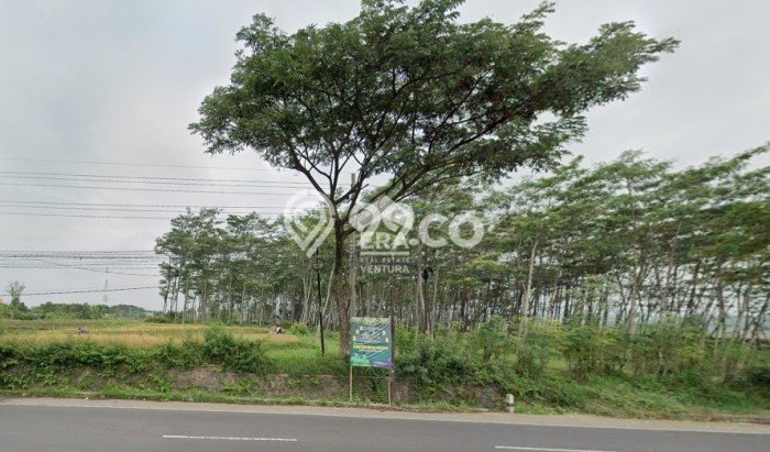 Tanah Kavling di Purwosari Dijual dengan Luas 4165m2 Tanah Kavling di Purwosari Dijual dengan Luas 4165m2