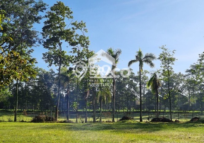 Tanah Dijual Area Strategis di Araya Malang 1935m2 Tanah Dijual Area Strategis di Araya Malang 1935m2