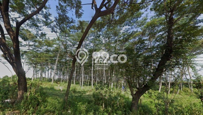 Tanah Kavling di Purwosari Dijual dengan Luas 4165m2 Tanah Kavling di Purwosari Dijual dengan Luas 4165m2