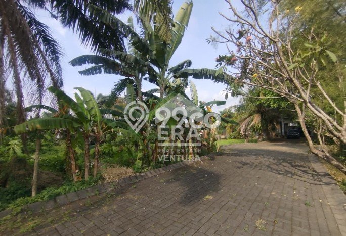 Lahan Dijual Lokasi Blimbing, Malang dengan Luas Tanah 6792m2 dan Status SHM Lahan Dijual Lokasi Blimbing, Malang dengan Luas Tanah 6792m2 dan Status SHM