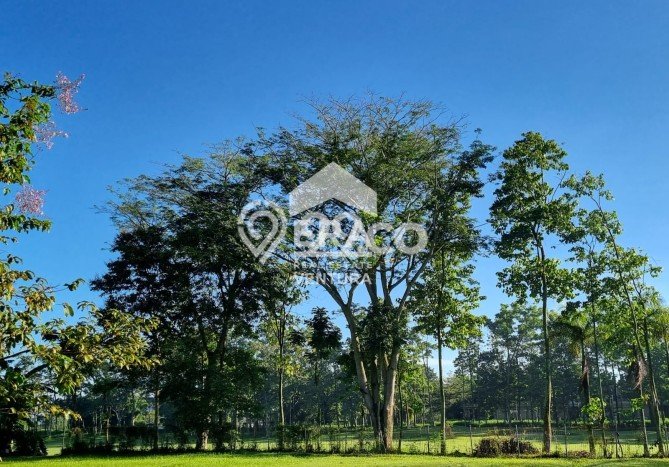 Tanah Dijual Area Strategis di Araya Malang 1935m2 Tanah Dijual Area Strategis di Araya Malang 1935m2